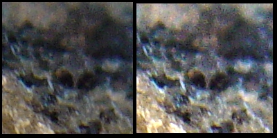 skull1