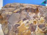 stoneyx0a