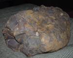 stony-o2a