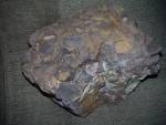 stony-o5a